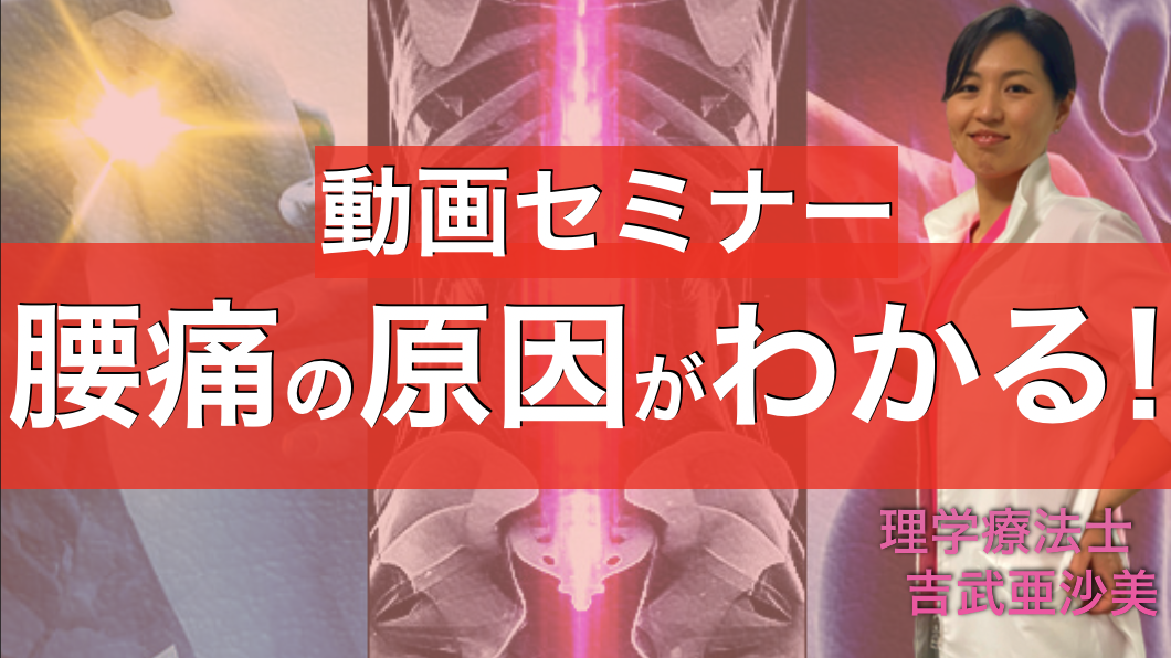 【動画セミナー】腰痛の原因がわかる！