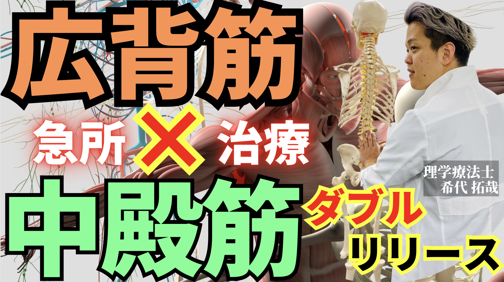 【筋膜トリガー】腰痛治療の急所はここ!中臀筋&広背筋ダブルリリーステクニック
