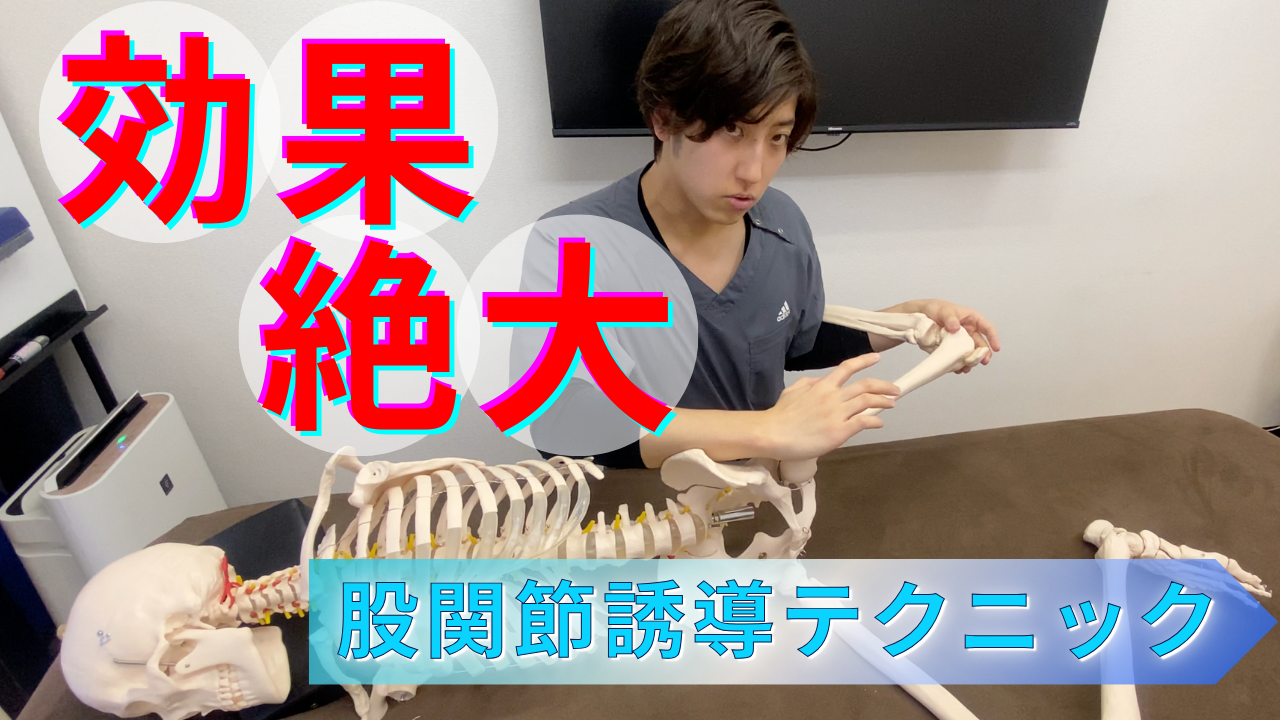 【股関節痛】何も考えずに動かすのはナンセンス!股関節の動きを誘導するだけで痛みが消える&可動域UP↑の簡単テクニック