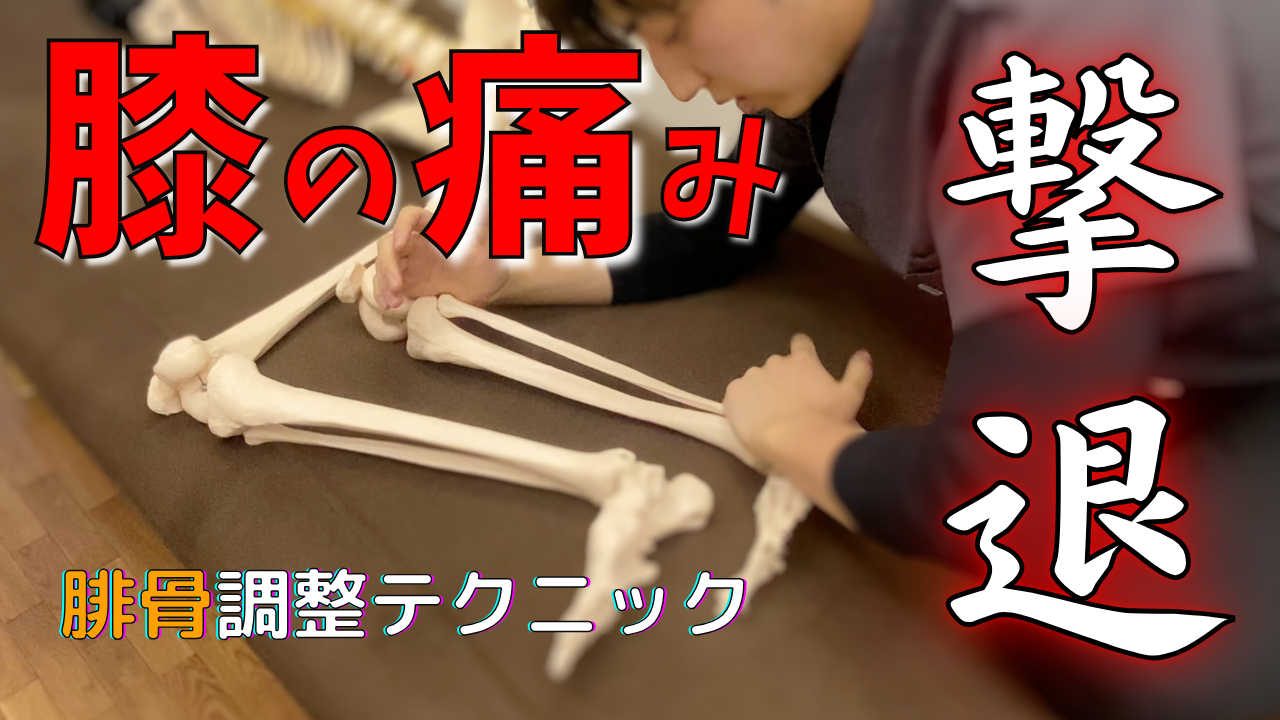 【膝痛撃退】膝が痛い人に腓骨の治療してる?腓骨の位置異常修正テクニック