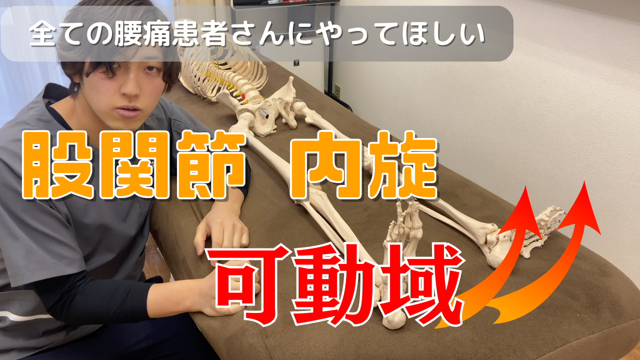 全ての腰痛患者にやってほしい!股関節の内旋角度が劇的に増えるテクニック方法!