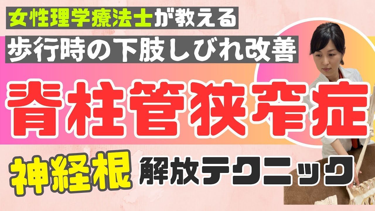【脊柱管狭窄症】歩行時に辛いお尻や下肢のしびれを改善させたい治療家に見てほしい!腰椎神経根解放テクニック