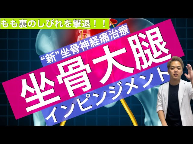 【超最新情報】梨状筋ではとれないしびれに坐骨大腿インピンジメント解放テクニック