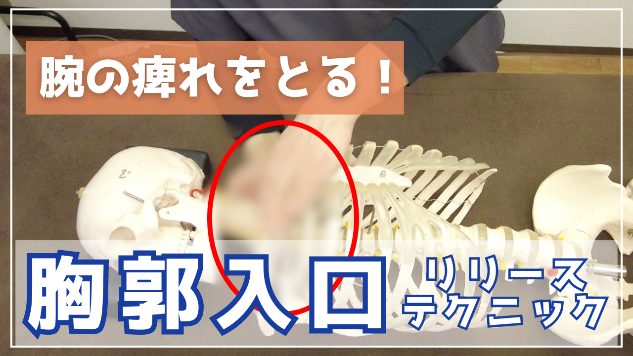 【腕の痺れ】難しそうで簡単!上肢の症状に効く胸郭入口リリーステクニック