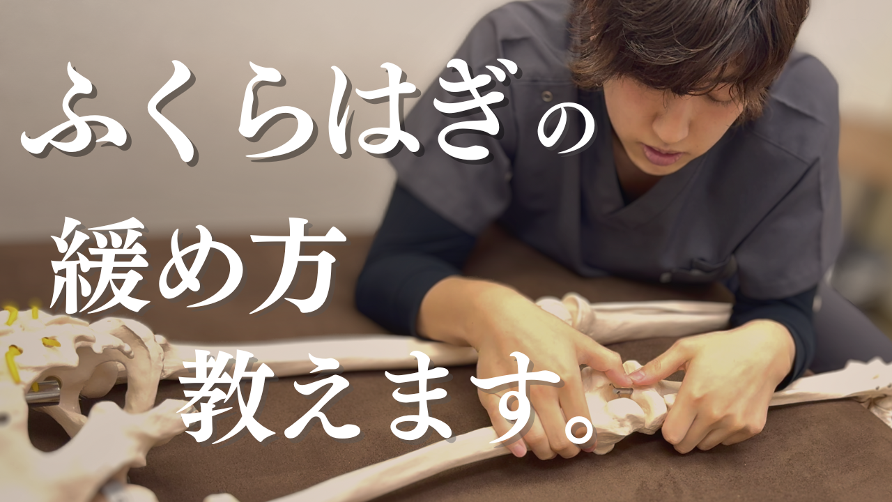 カッチカチのふくらはぎをふっわふわにできます。下腿三頭筋の3ステップリリーステクニック