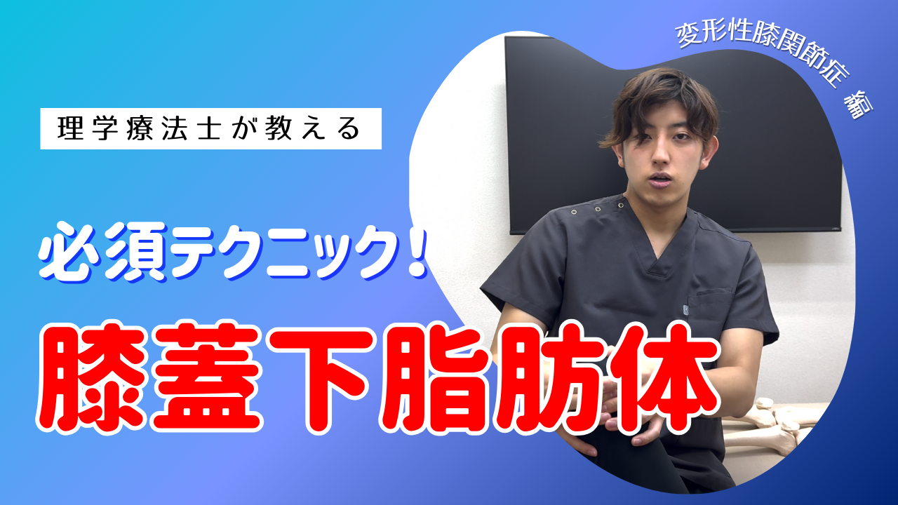 【変形性膝関節症】膝が痛い人にはまずこれをやって!膝蓋下脂肪体テクニック