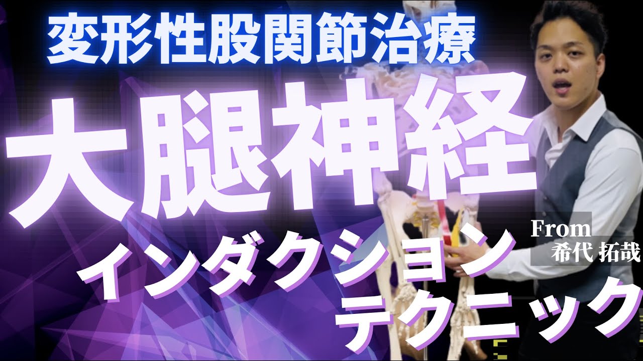【変形性股関節症治療】27歳月商802万治療家が教える!!付け根の詰まりや痛みを消し去る大腿神経インダクションテクニック #股関節痛テクニック
