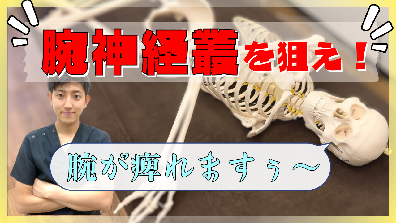 腕の痺れの治療でコレをやらないのはあり得ない！腕神経叢の開放テクニック解説