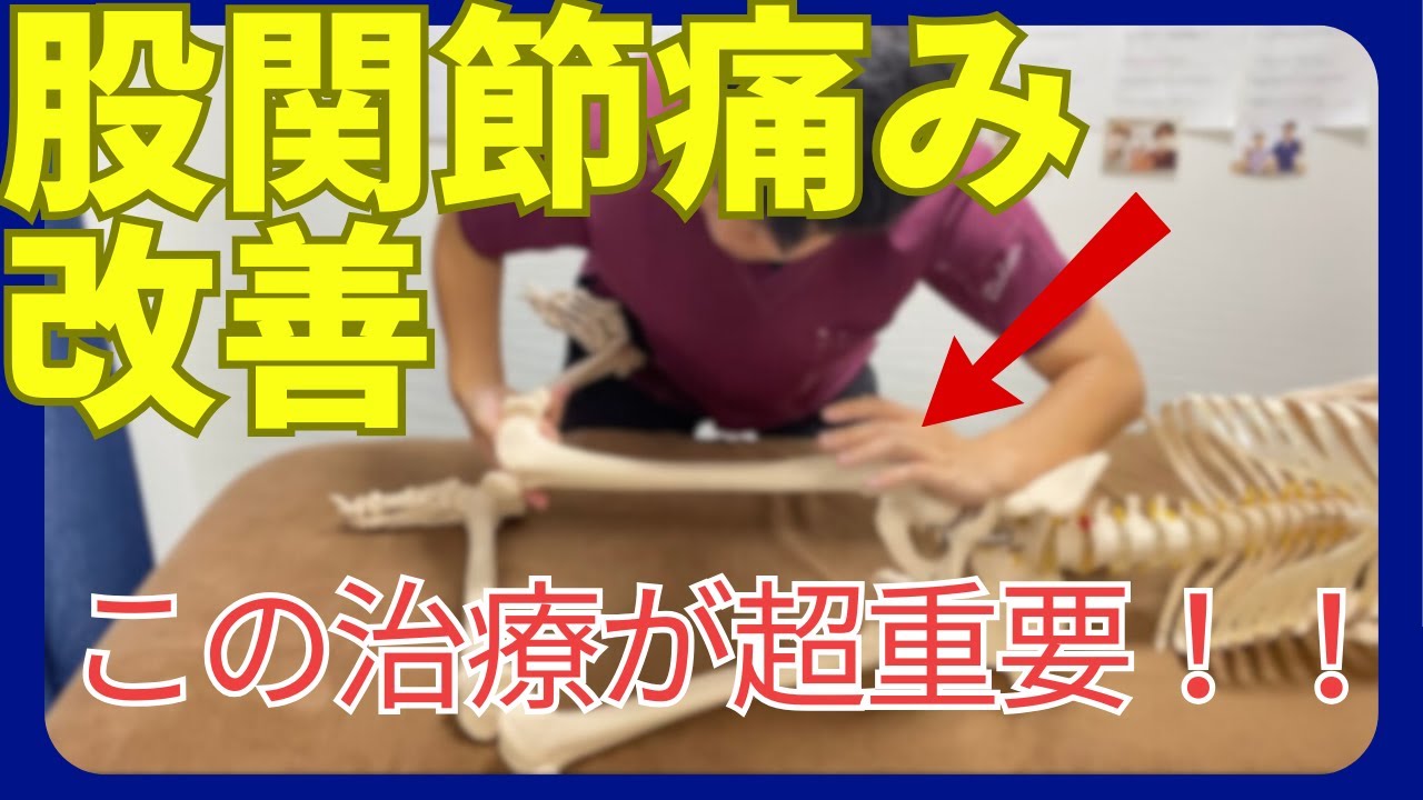 【股関節痛み】歩行時の股関節の痛みを改善させる治療テクニックを解説！！