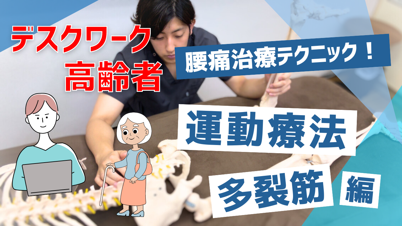 【腰痛】高齢者やデスクワークの人の腰痛が治らないのはこれをやらないからです！マッサージで良くならない人は〇〇が必要！