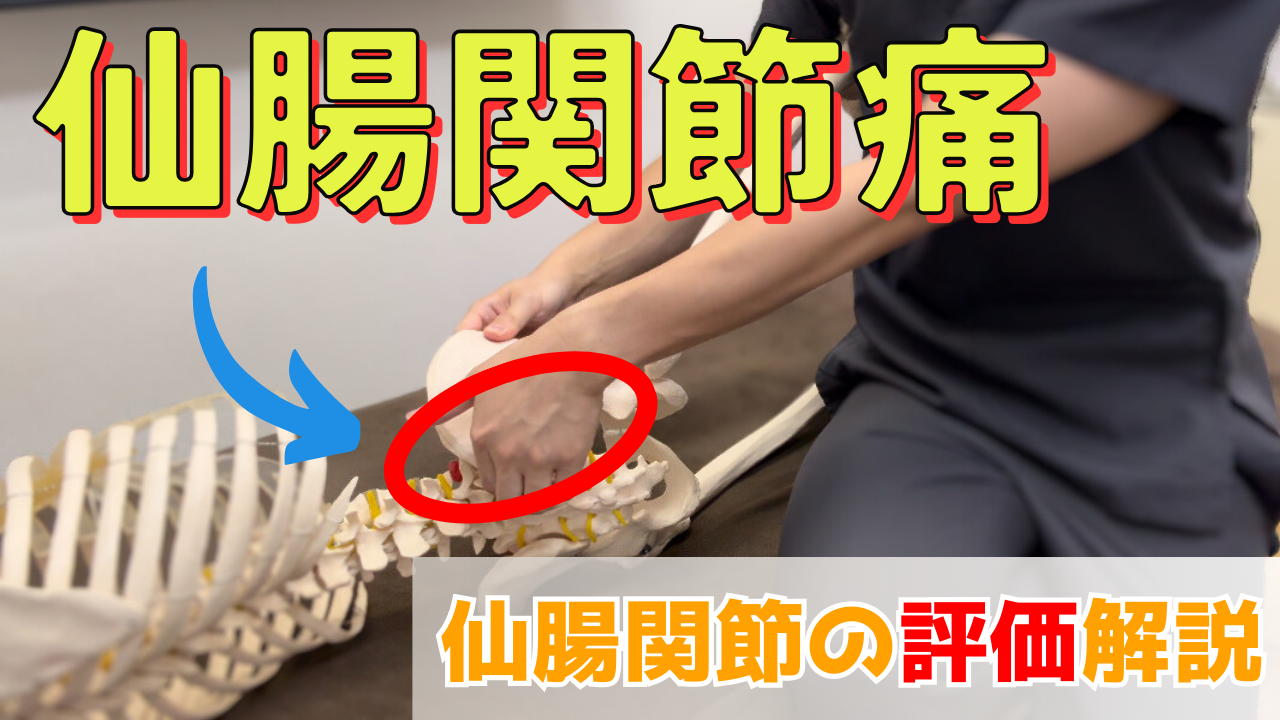 【仙腸関節の検査・評価解説】仙腸関節の痛みがなくなる！一番易しい関節テクニック