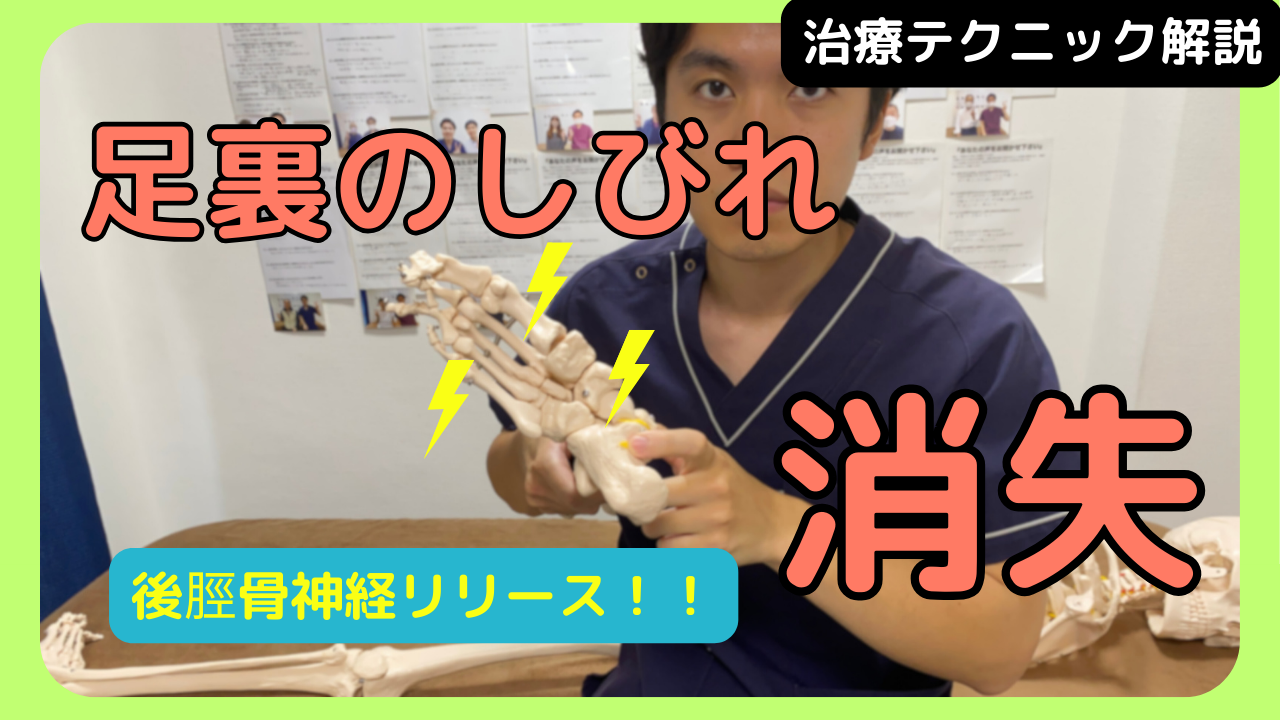 足裏のしびれを消失させる後脛骨神経について解説！！