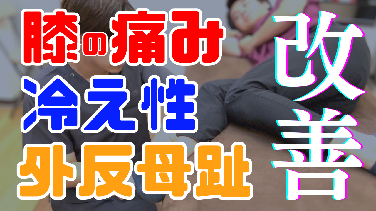 膝の痛みに悩む人には『後脛骨筋』の筋エネルギーテクニック!冷え性、外反母趾の改善にも効果的!