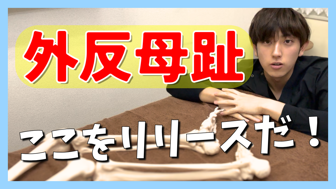 外反母趾が劇的改善!足のアーチが復活する〇〇帯のリリーステクニック!