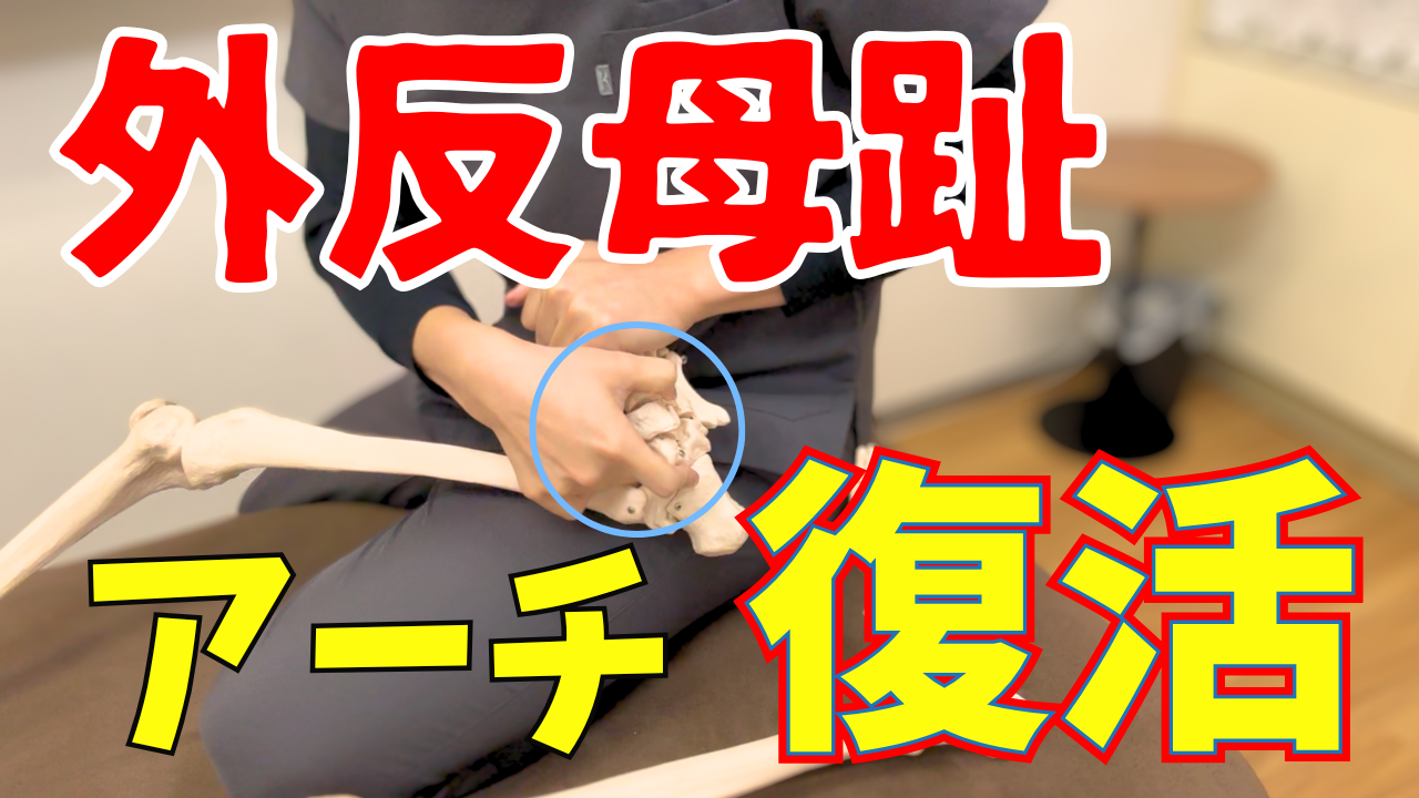 【外反母趾】治療で大事なポイントの”アーチ”を復活させる！長母趾屈筋のリリース＆エネルギーテクニック