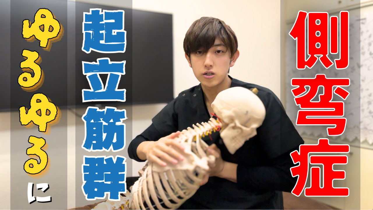 【側弯症】凸凹の脊柱起立筋が整う!座りながら治療できる簡単エネルギーテクニック