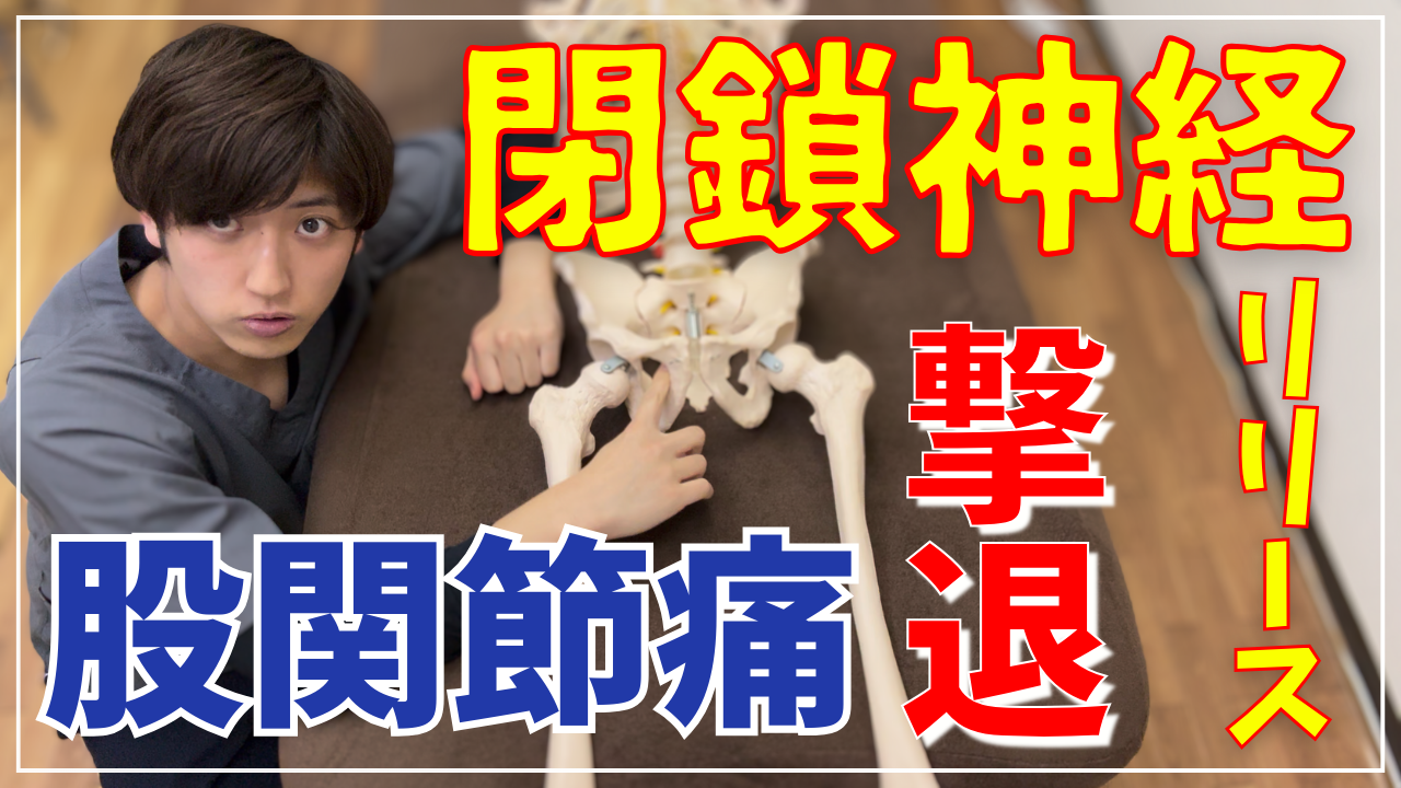 【触診から解説】内転筋がゆるゆるに！”股関節の痛み”や”足の痺れ”がある人にやるべき神経リリース！