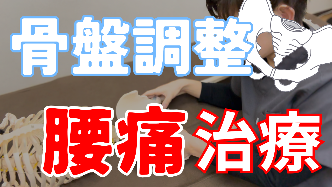 【Part1】骨盤調整の入門編！腰痛を治すための恥骨の調整方法！