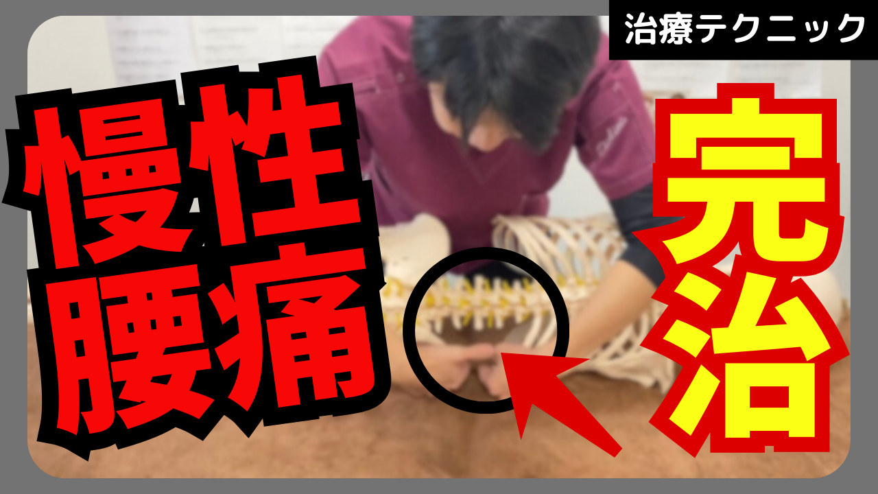 慢性腰痛の真の原因はここ！腰痛を完治させる大腸リリーステクニック！！