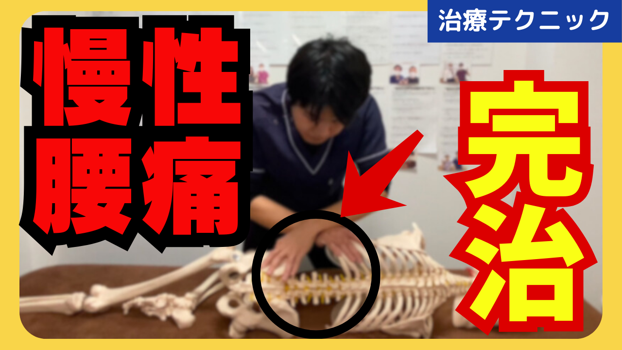 慢性腰痛に効果絶大！深部の腰方形筋に対するリリーステクニックをご紹介！！
