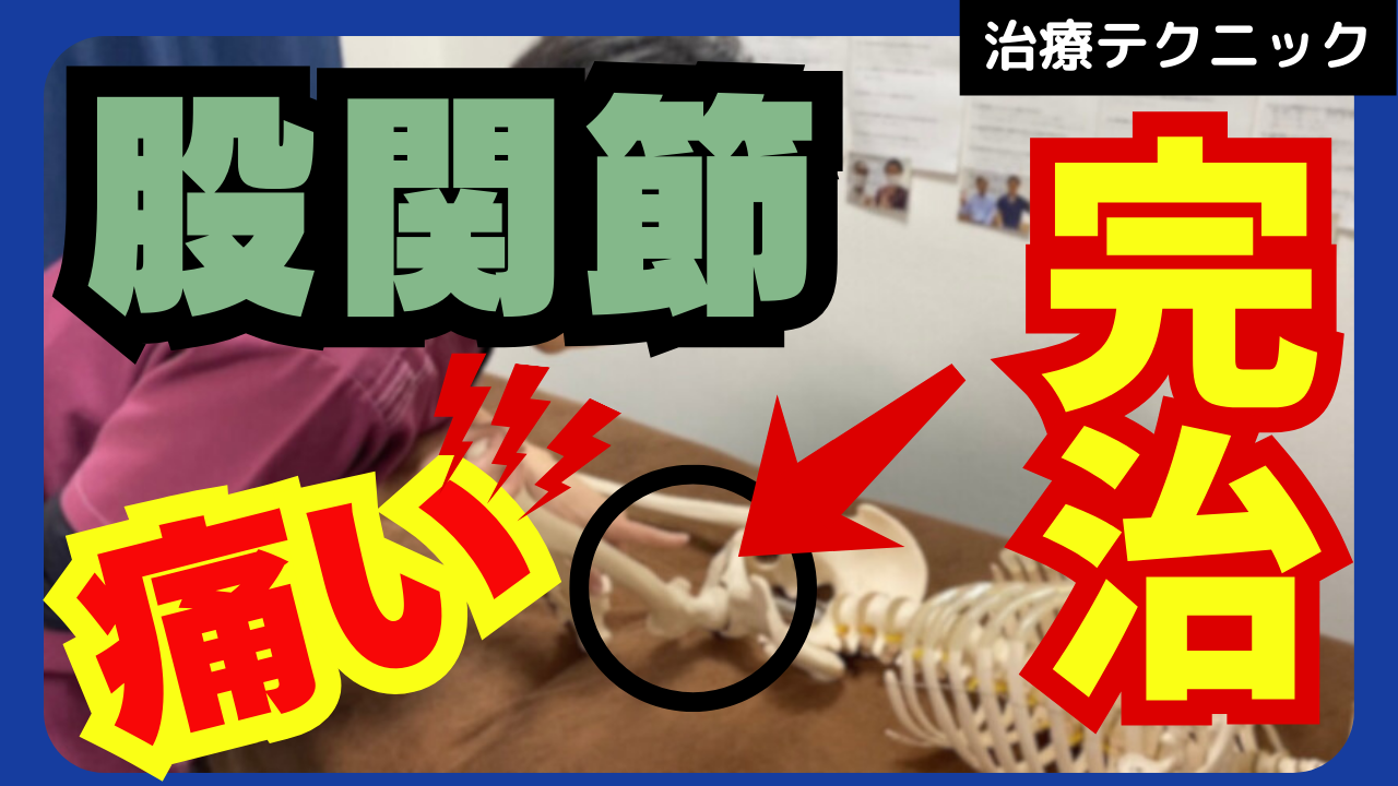 股関節の痛みを完治させる股関節のモビライゼーションテクニック！！